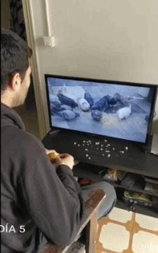 全球各地放松疫情限制,全球各国最新防疫政策