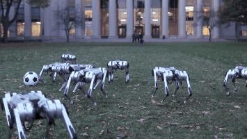 一大群机器狗后空翻给猎豹看,一群机器狗上街视频