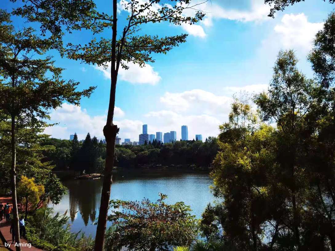 一位20多年SE“骨灰级老炮”,告诉你售前工程师能力分级真相