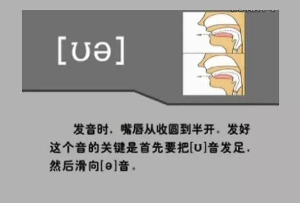 英语音标发音表48个音标正确读法,英语干货48个音标快速记忆法下