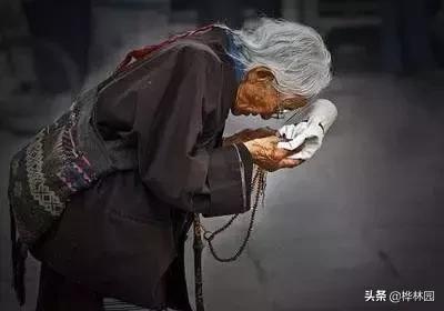 众生的愿望,众生的心愿