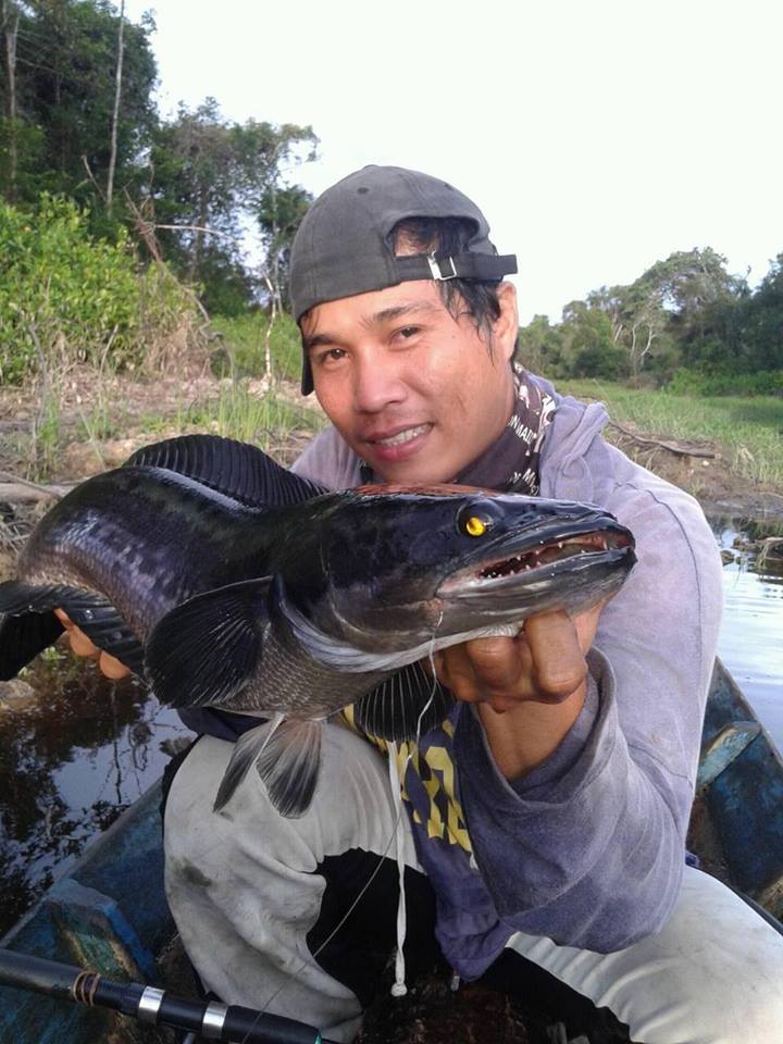 铁血战士打黑武士,铁血战士打特种兵