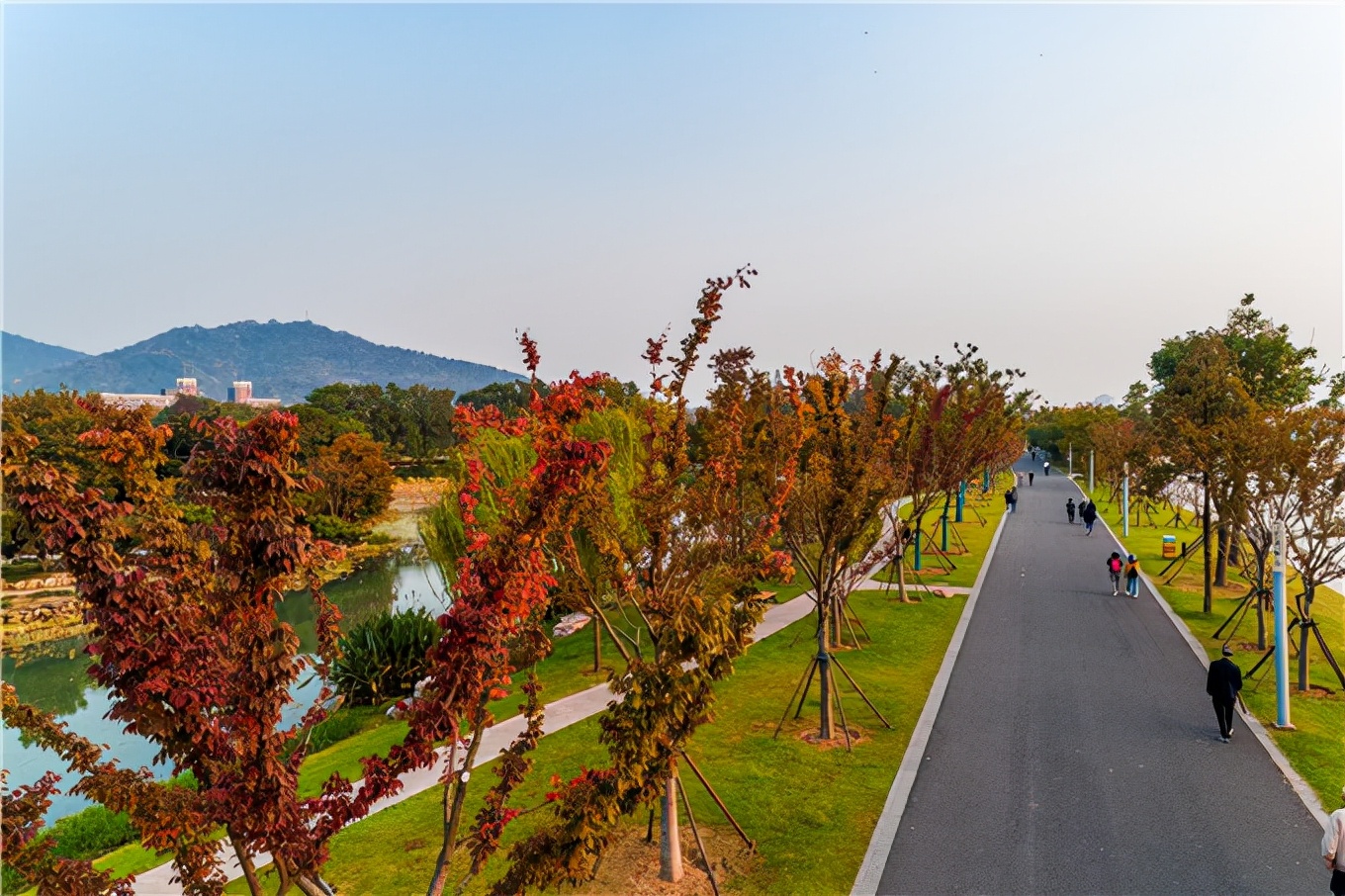 最美健身步道,南京市最美健身步道排名