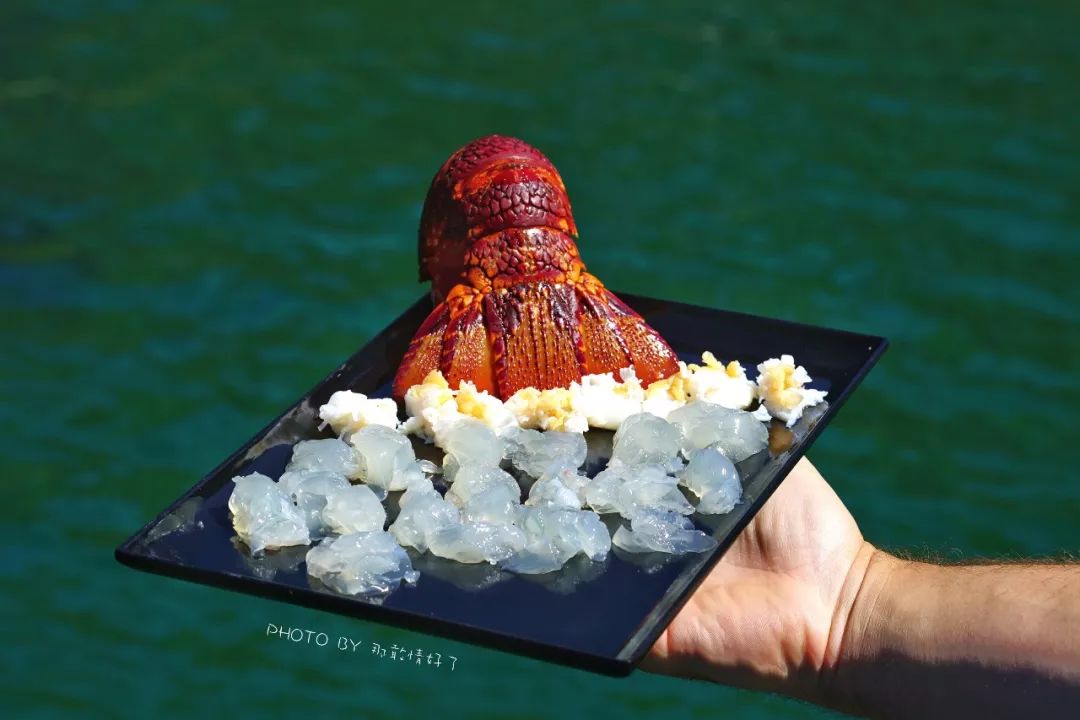 去哪里旅游可以看南极企鹅,旅游攻略南极看企鹅