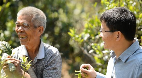 2020年勐库戎氏博君熟茶6克,勐库戎氏博君熟茶小饼200克测评