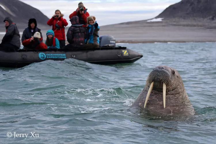 瀹氬埗鍒涙剰鏃呰,鍒涙剰瀹氬埗鏃呰