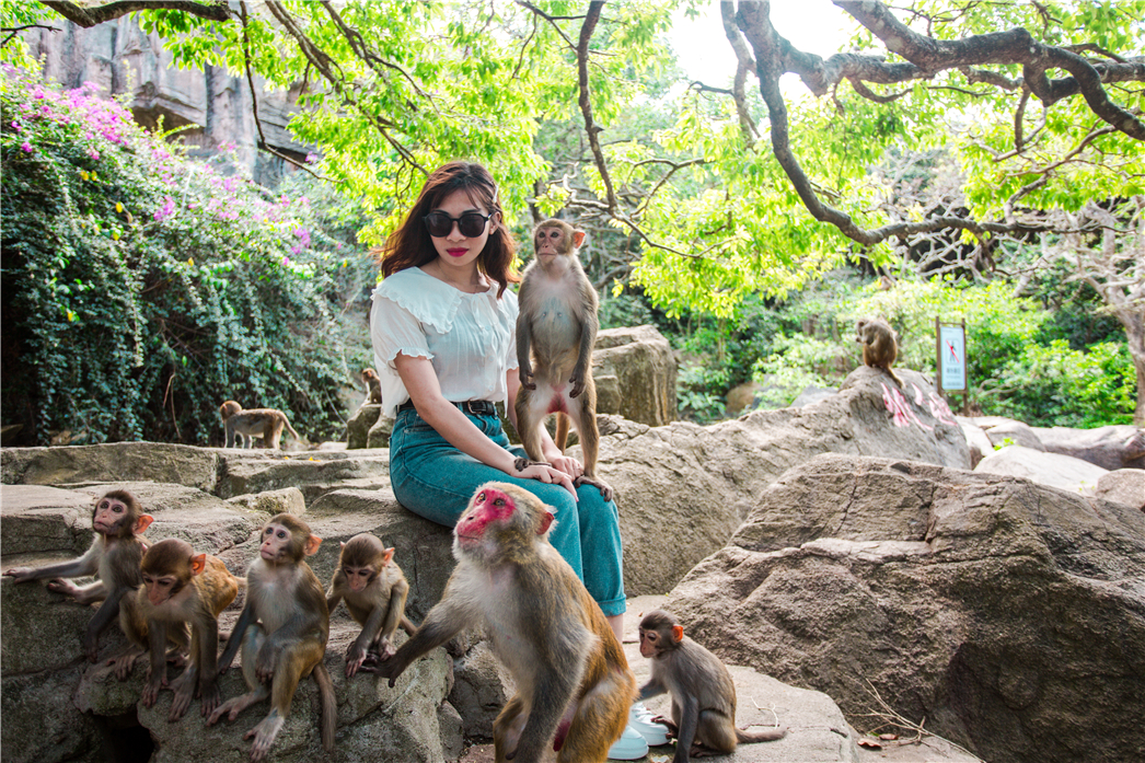 海南必玩猴岛与呆呆丨看萌呆猕猴，呆呆岛发呆
