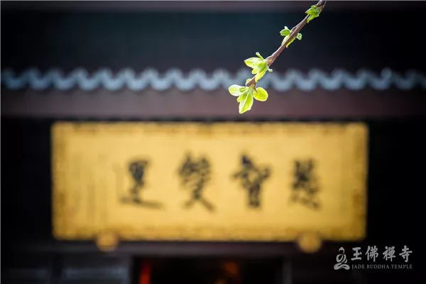 生活压力大怎么办最有效的解决,生活压力山大解决方案