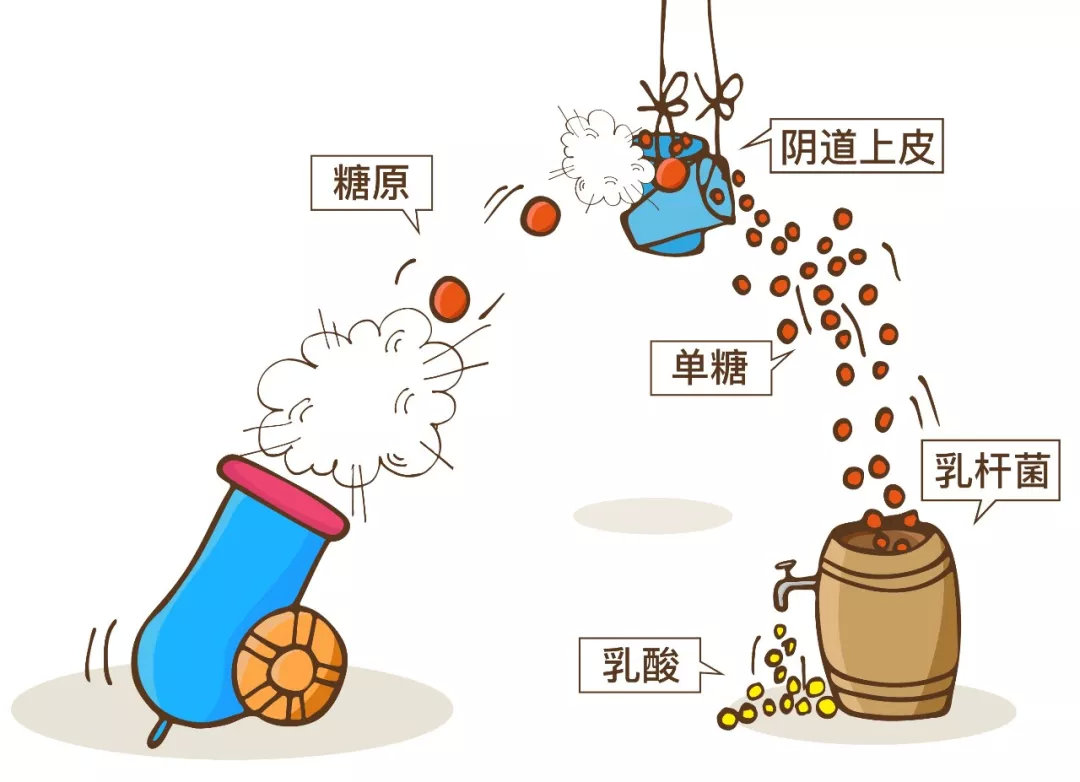 过度清洁得妇科病,过度清洁妇科病