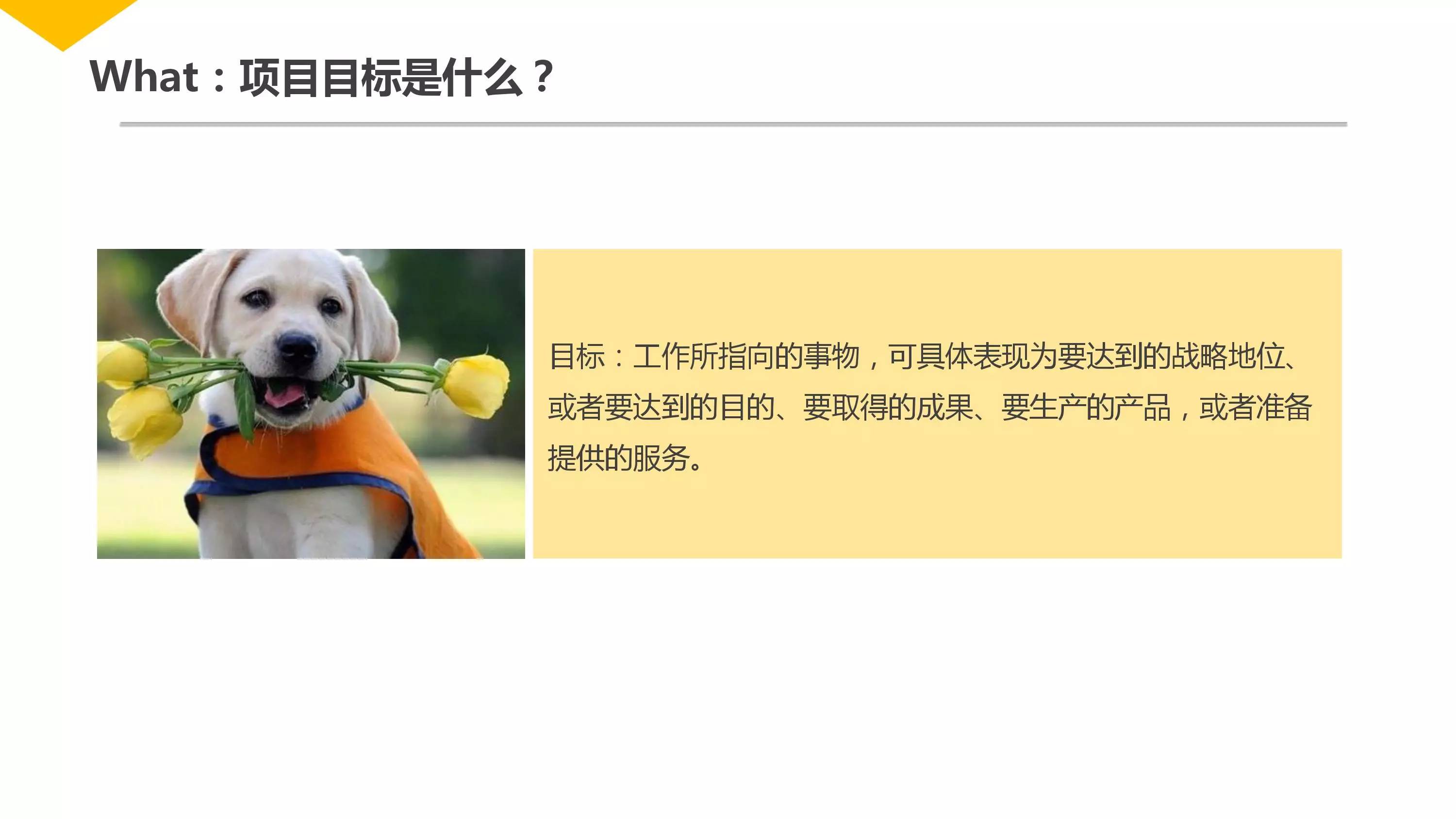 项目管理快速入门,项目管理怎么快速了解项目流程