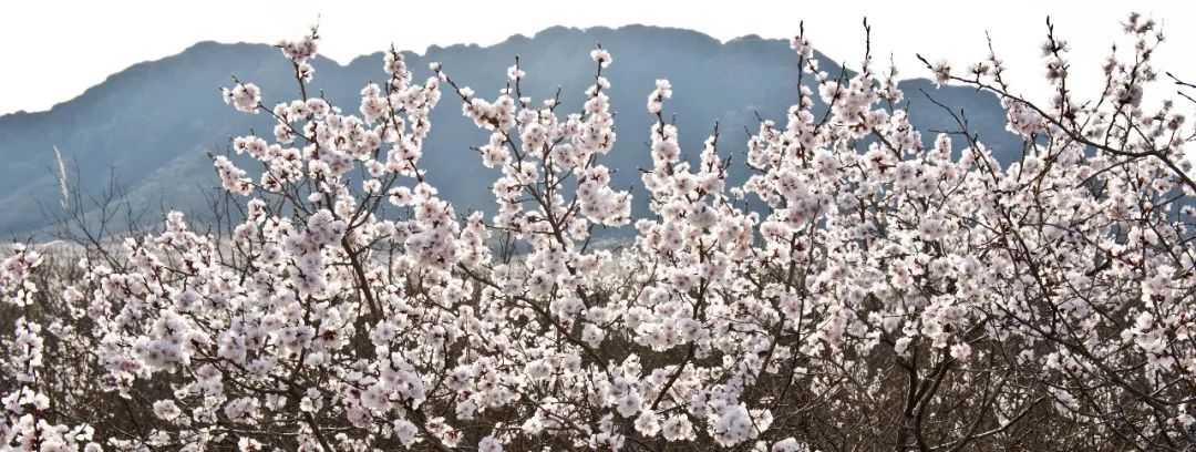 内蒙古通辽扎鲁特旗5条自驾游线路和景点攻略