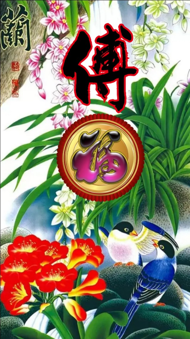 精美兰花壁纸图,兰花高贵壁纸