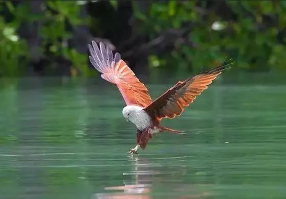 兰卡威教程,兰卡威攻略全集