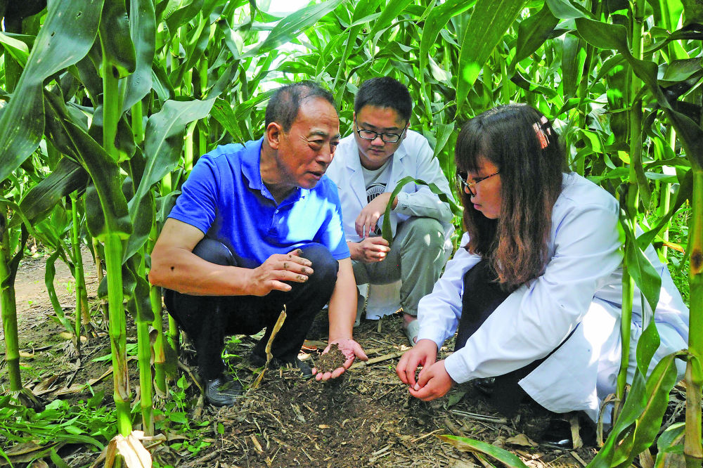 这位农技站长用十几年给黑土地“盖被子”