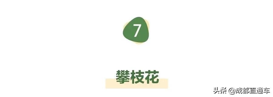 四川宜宾2021事业单位招聘,宜宾事业单位招聘2023年有几次