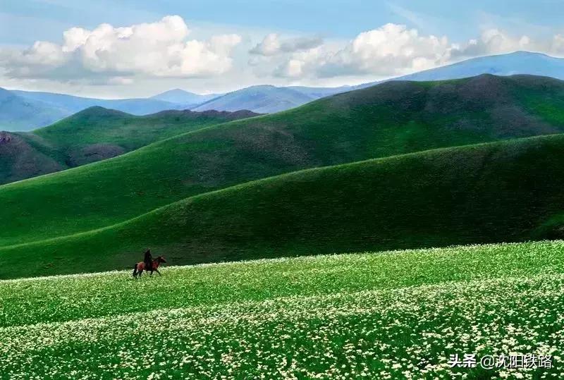 辽宁草原旅游专列,辽宁火车专列去草原