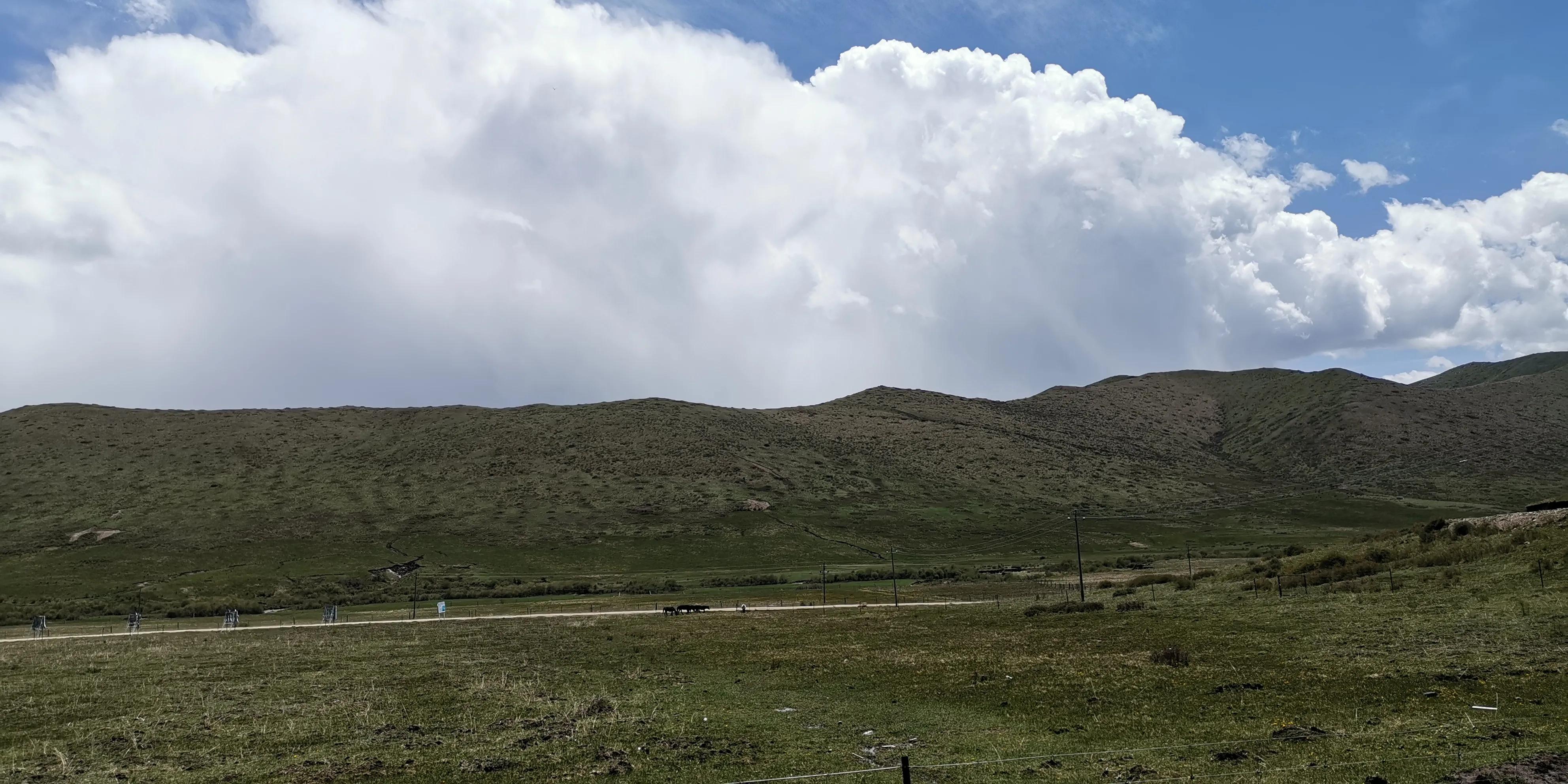 美不胜收的红原大草原,最美蓝天白云大草原