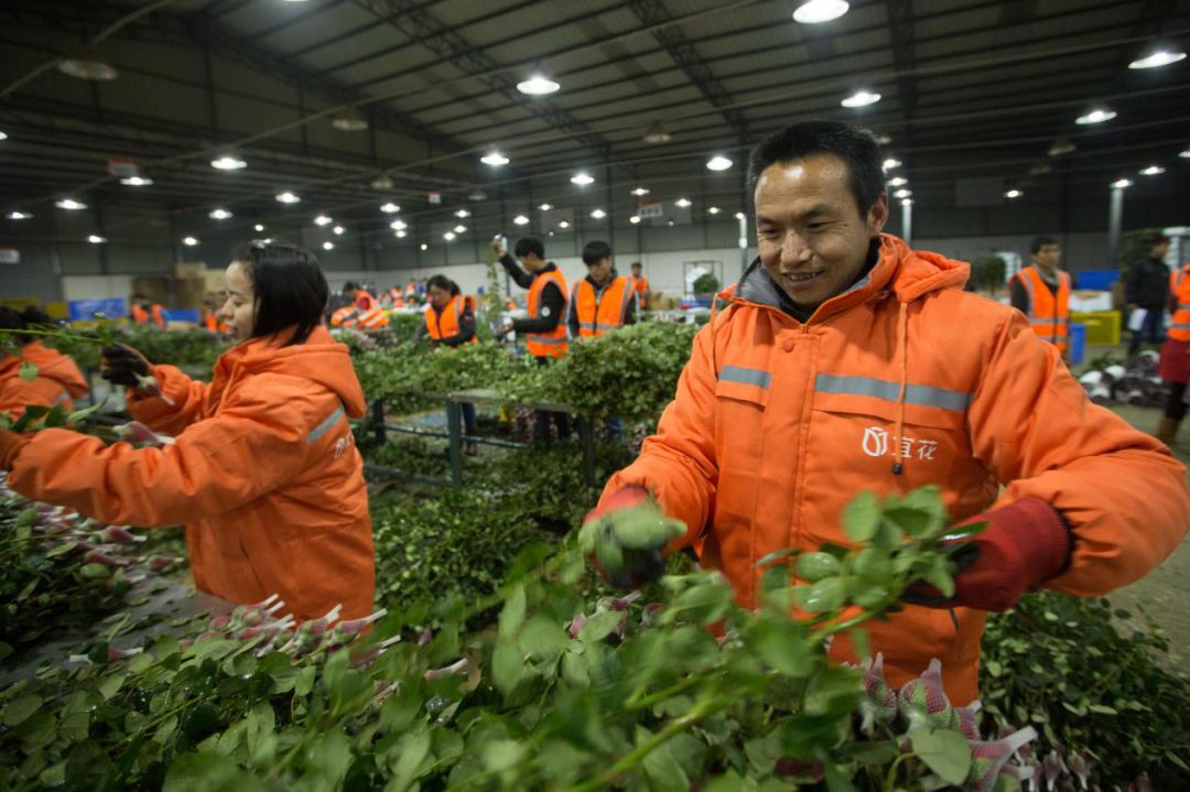 价格比同行便宜怎么盈利,价格比同行低怎么盈利