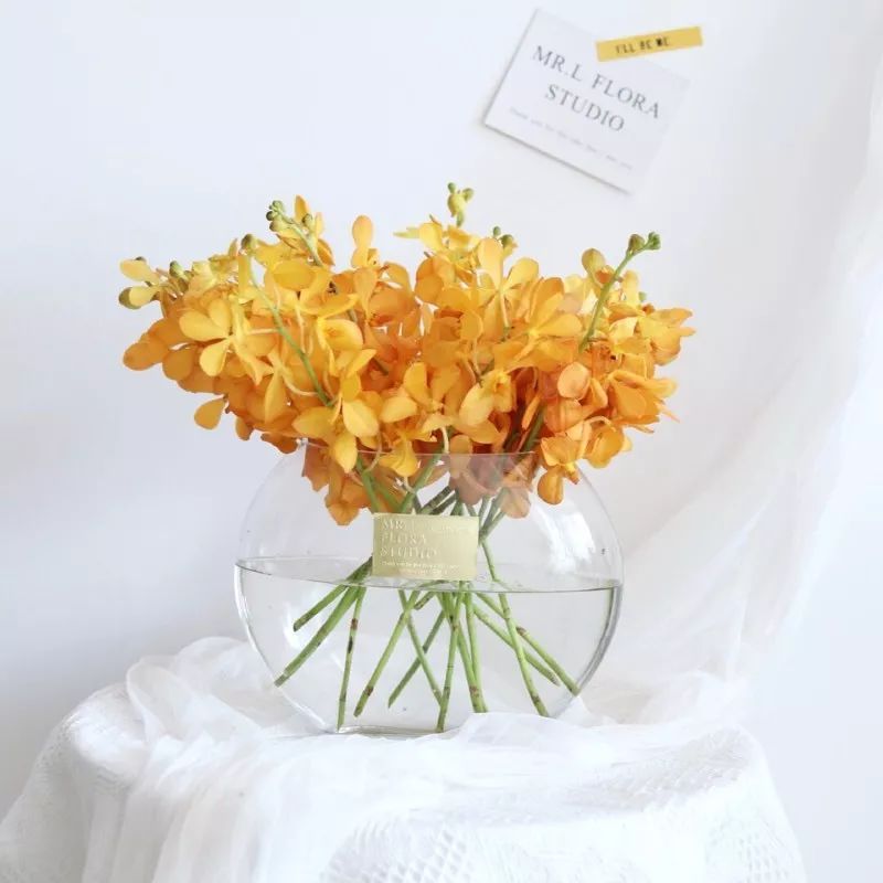 过年家里必摆的九道菜,过年家里摆的喜庆的物件