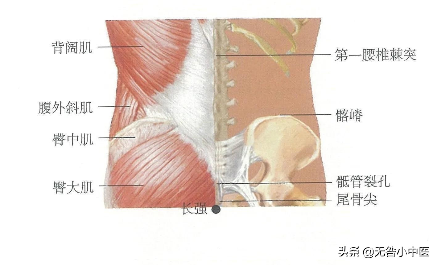 针灸2个小时正常吗,针灸2.5寸怎么量