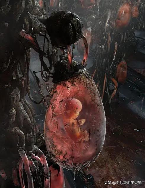 黑客帝国类似的电影有哪些,类似黑客帝国一样震撼的电影