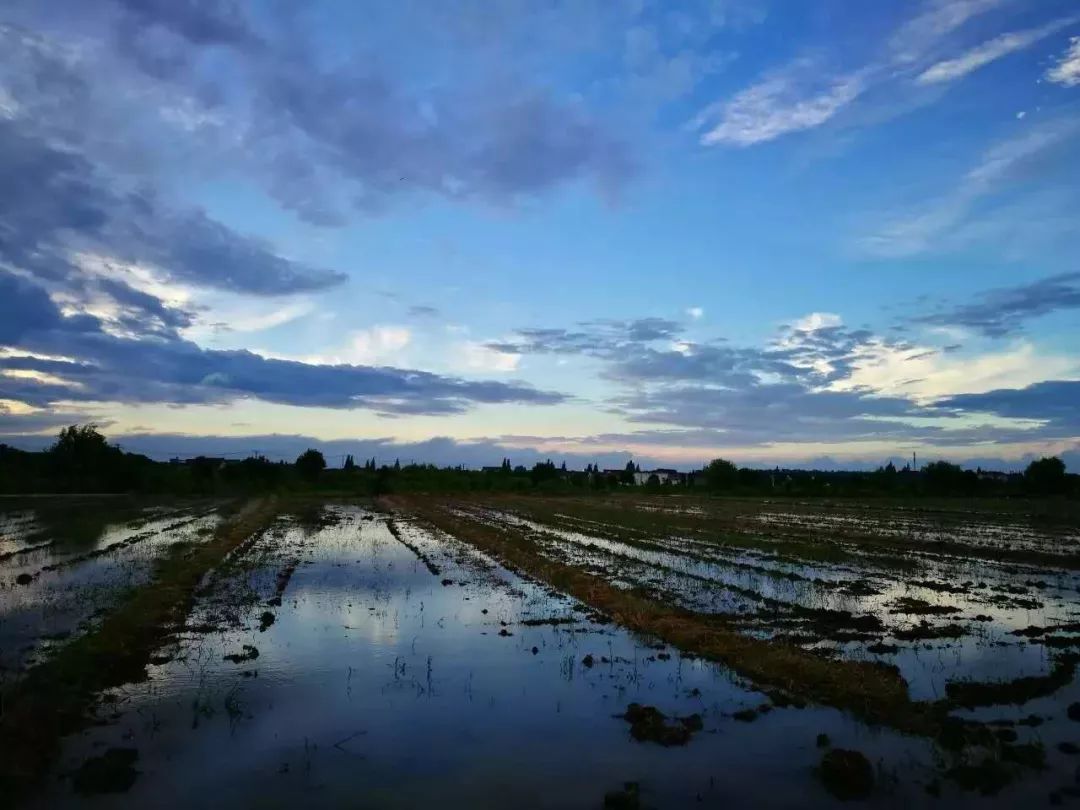 日本陶器底款有哪些 (日本龙谷窑陶器)