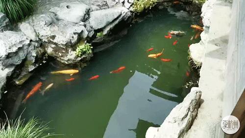 江南第一豪宅是哪个,江南第一豪宅是哪里