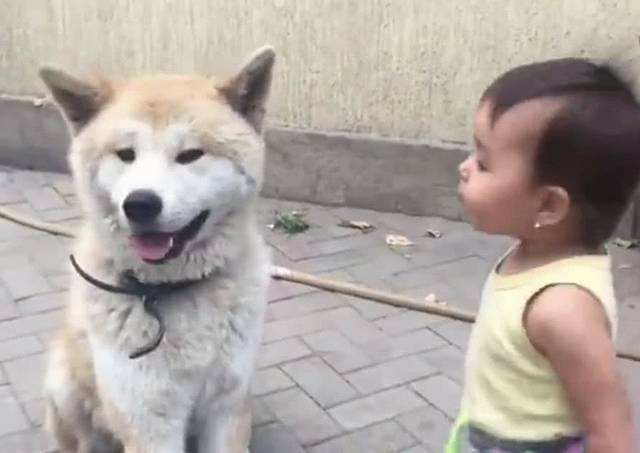 狗狗总是哼哼唧唧是什么原因,狗狗总是哼哼要咬人