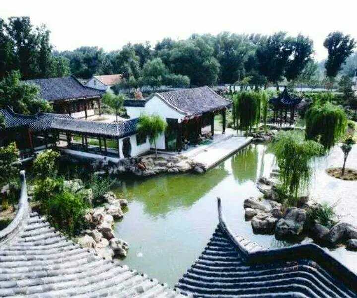 聊城姜堤乐园攻略,聊城姜堤乐园的全景