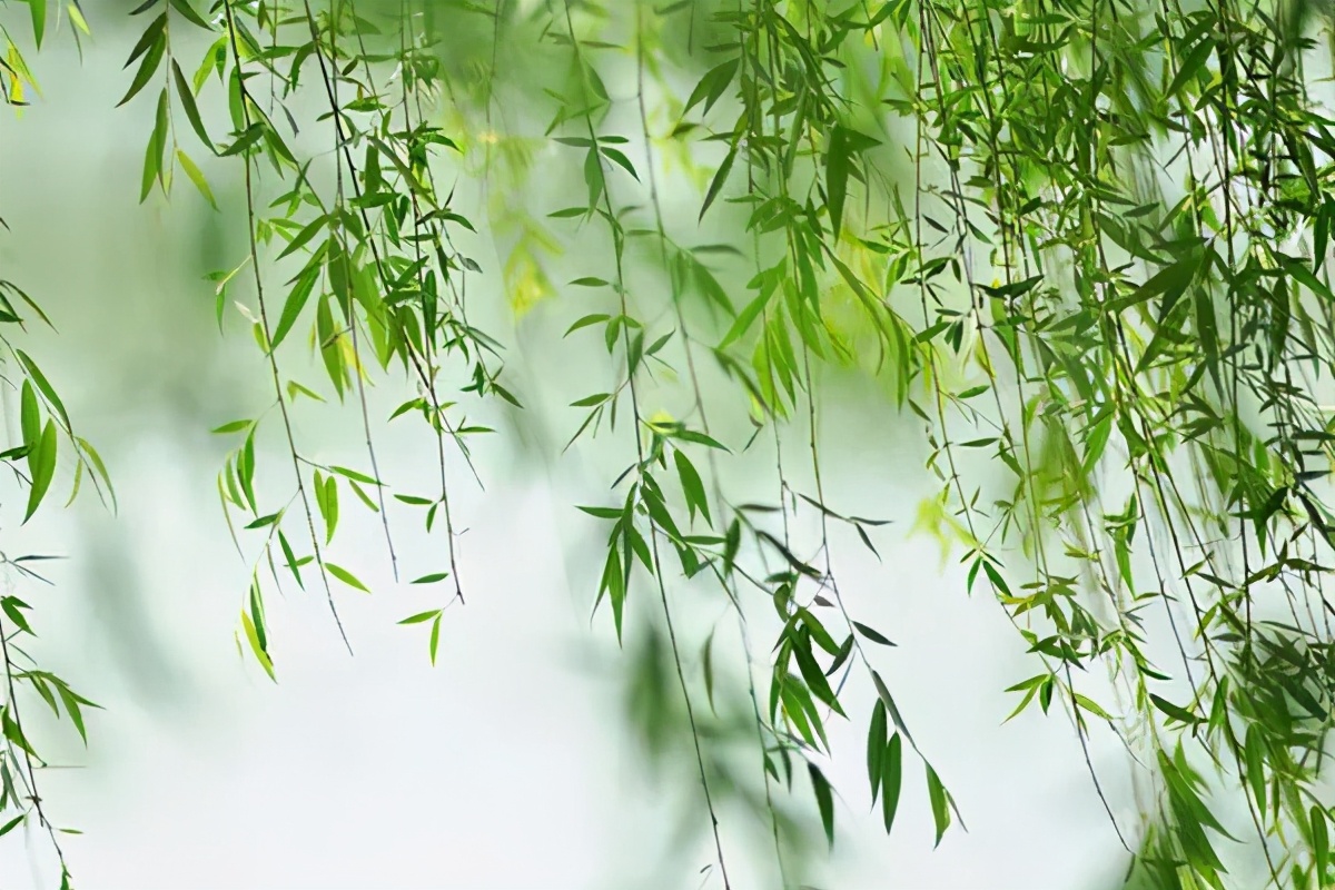 苏轼在庐山写的五首诗,苏轼写庐山游记的四首古诗