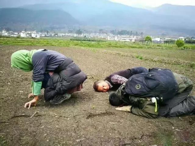 让农业回归原生态,呼唤传统农业回归