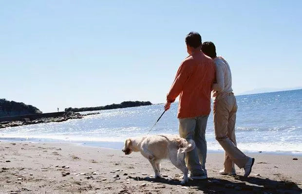 中国式养老,国内养老和国外养老的区别