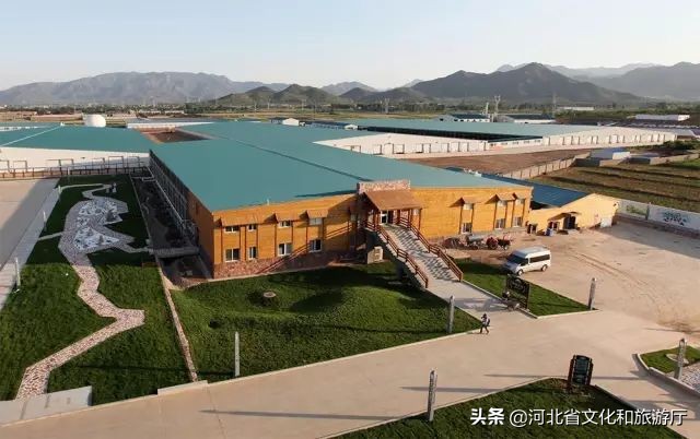 一鹿走来鹿泉,一路走来的最新视频