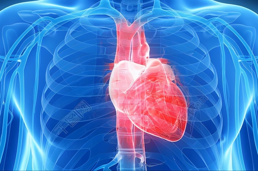 菜籽油油炸有毒吗,菜籽油中存在的天然有毒物质