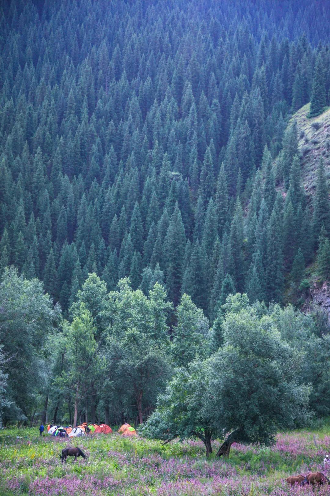 乌孙古道第二天,乌孙古道深度解析