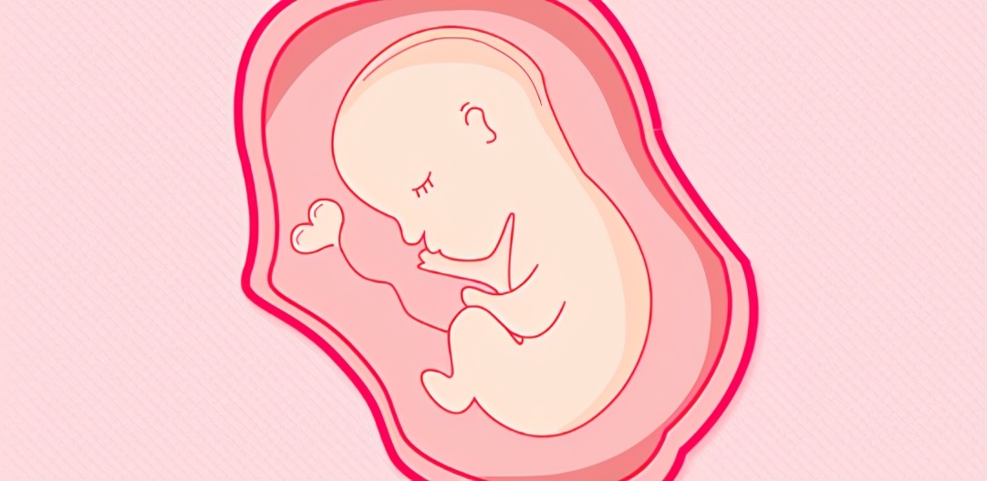 试管移植胚胎级别好为什么不着床,试管移植的时候打什么防宫缩