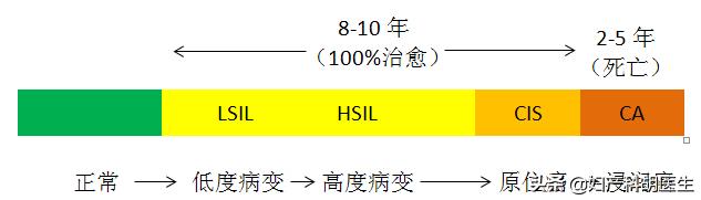 宫颈细胞学检查tct是怎样检查,如何看懂你的宫颈tct结果