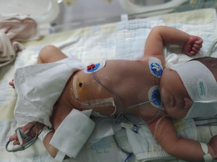 武当山院区康复,武当山院区