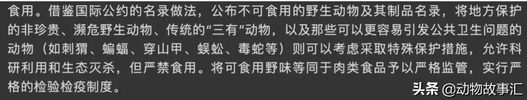 世界穿山甲日/专家建议对穿山甲等“生态灭杀”，我们坚决拒绝