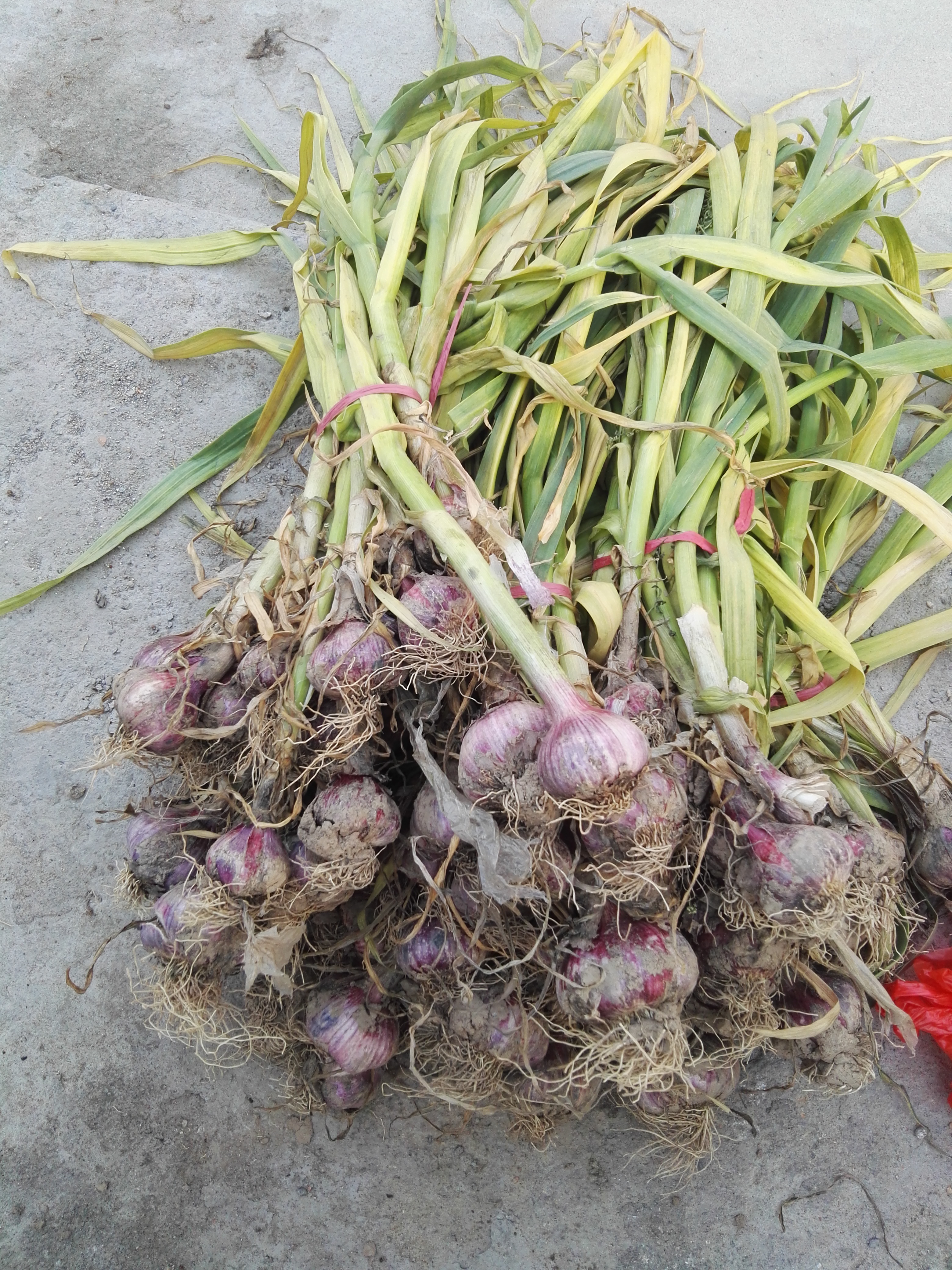 泡沫糖蒜酸甜脆爽200克4袋,上海糖蒜的正确腌制方法酸甜口