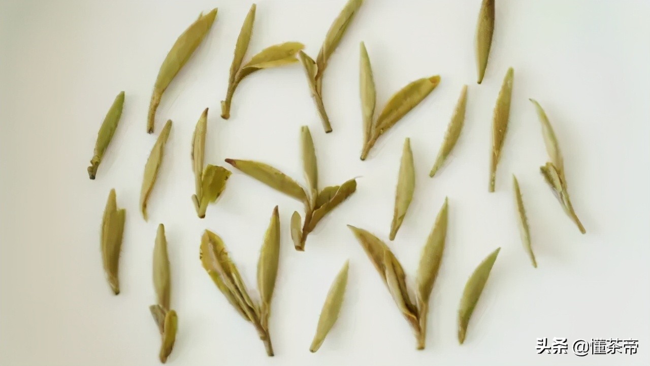 旧白茶怎么辨别好坏图片,陈皮白茶如何辨别好坏
