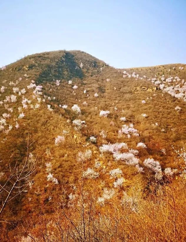 京郊四月美景,京郊四月