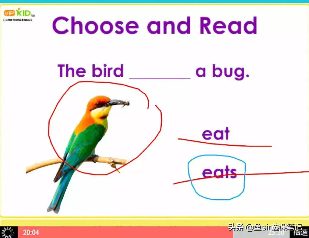 vipkid少儿英语学习效果怎么样,vipkid少儿英语启蒙怎么样