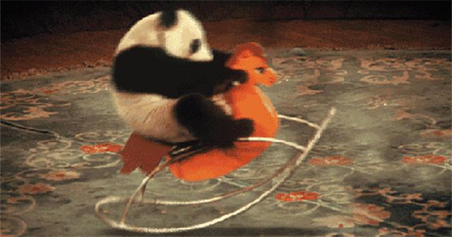 熊猫贝贝回国后的生活,和平大使熊猫