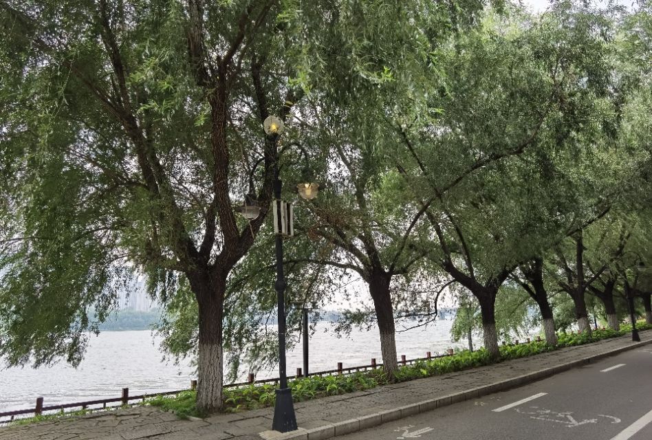 沈阳排名第一的寺庙慈恩寺,沈阳有哪些山上的寺庙