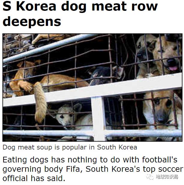 正宗朝鲜烀大块狗肉方法,朝鲜狗肉