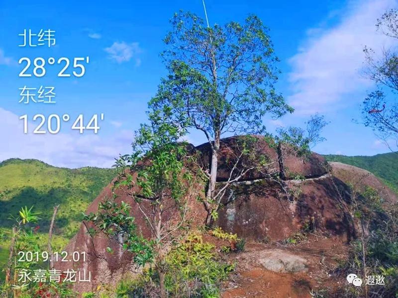 温州居然有这么美的小众景点,温州青龙山风景区在哪里