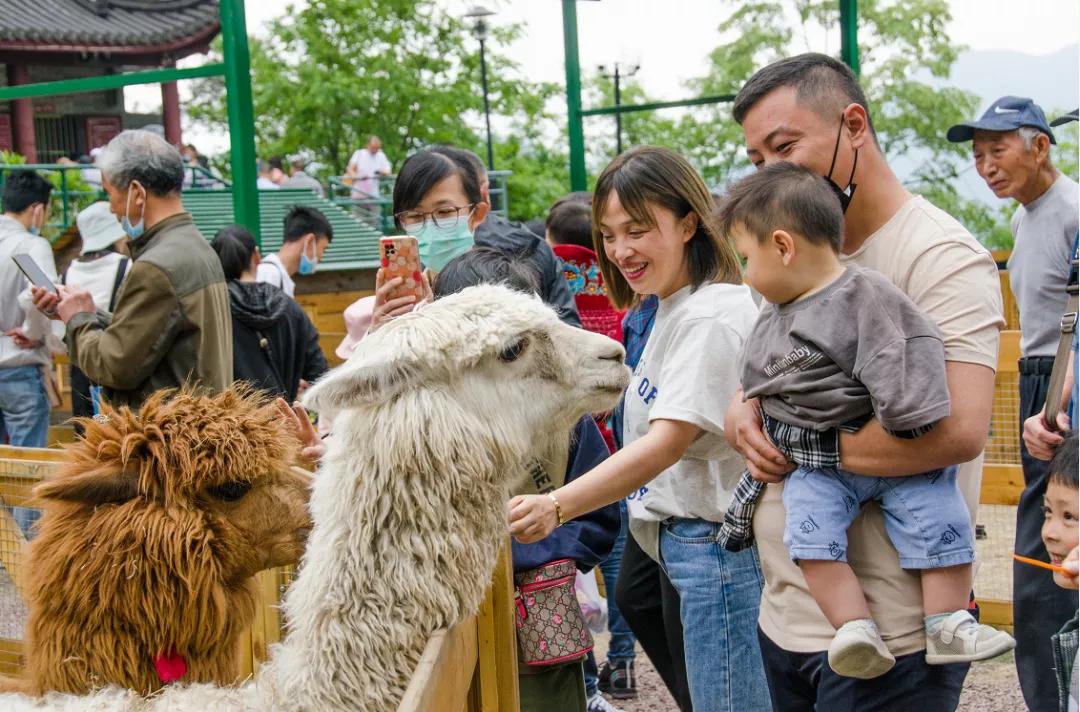 不出宁波市的旅行,奉化夏日海边游玩攻略