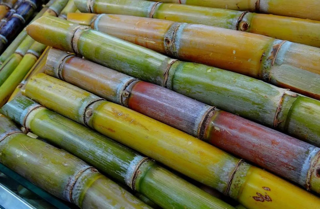 甘蔗向我比了个红爱心，吃还是不吃？