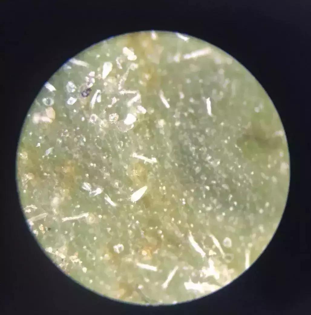 柑橘打锈壁虱最佳时间,柑橘锈壁虱怎么处理